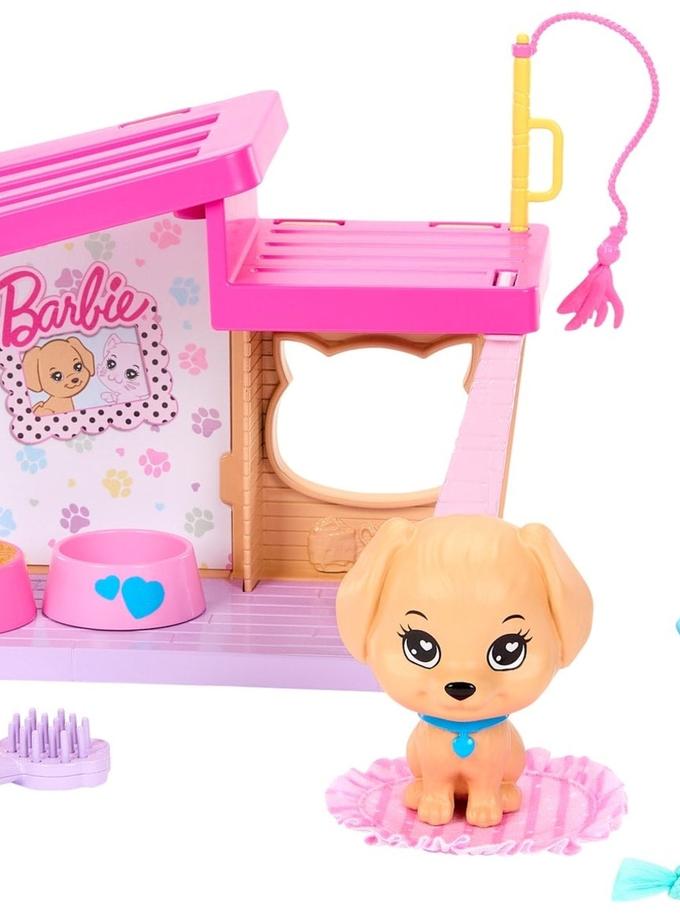 Barbie Accessories For Preschoolers, School theme, My First Barbie Same Day Delivery