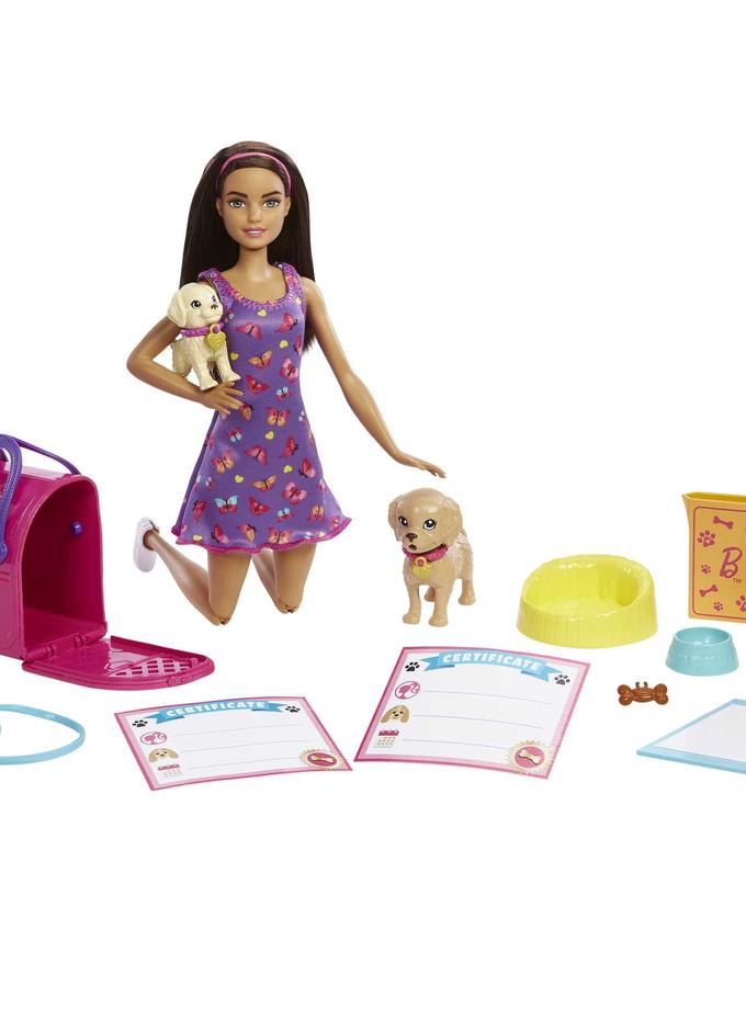 Barbie Conjunto de Brinquedo Adota um Cachorrinho Vestido Roxo Best Price