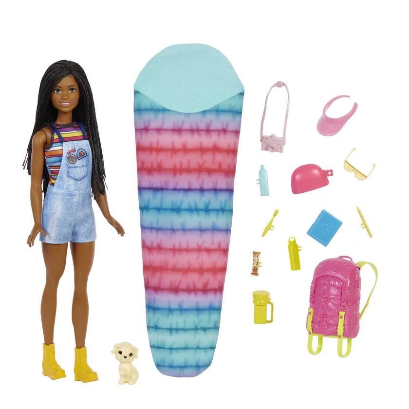 Barbie Doll And Accessories, It Takes Two “Brooklyn” Camping Doll And 10+ Pieces On Sale