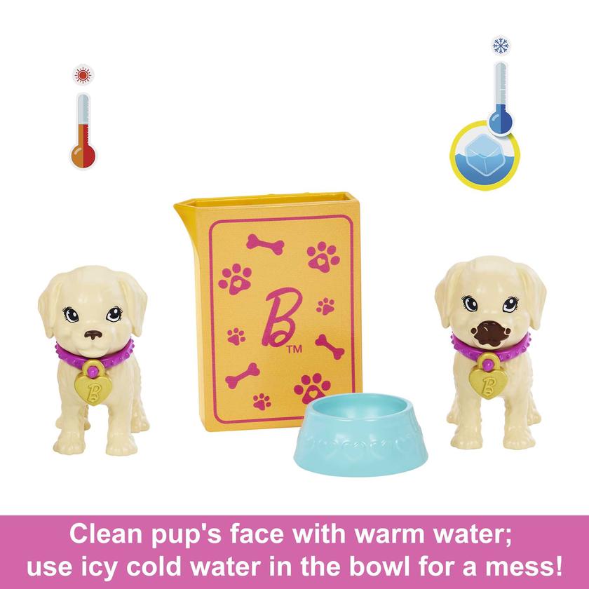 Barbie Doll And Accessories Pup Adoption Playset With Doll, 2 Puppies And Color-Change Best Buy