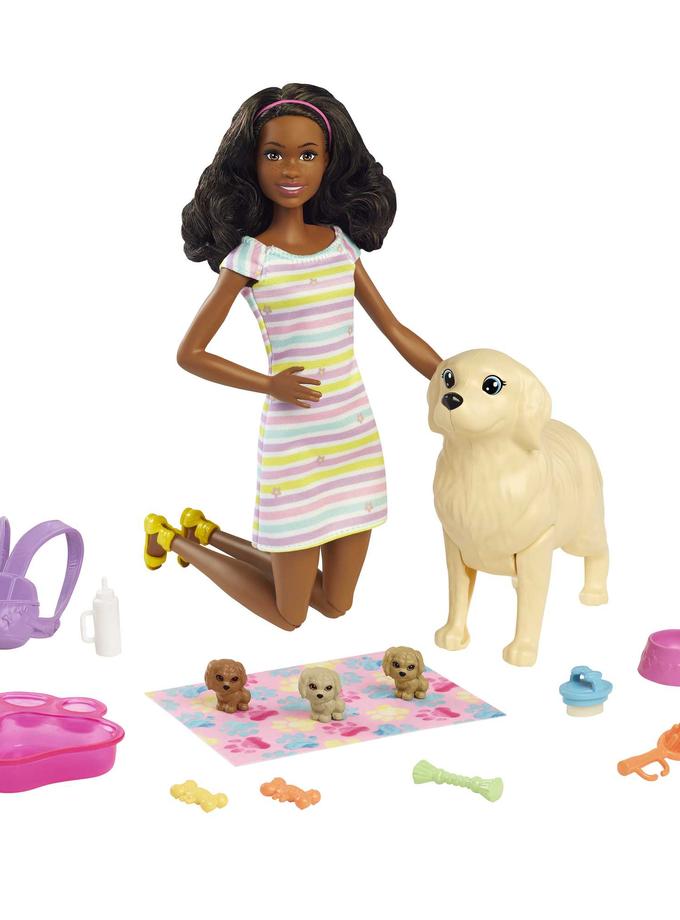 Barbie Doll And Pets New Arrival