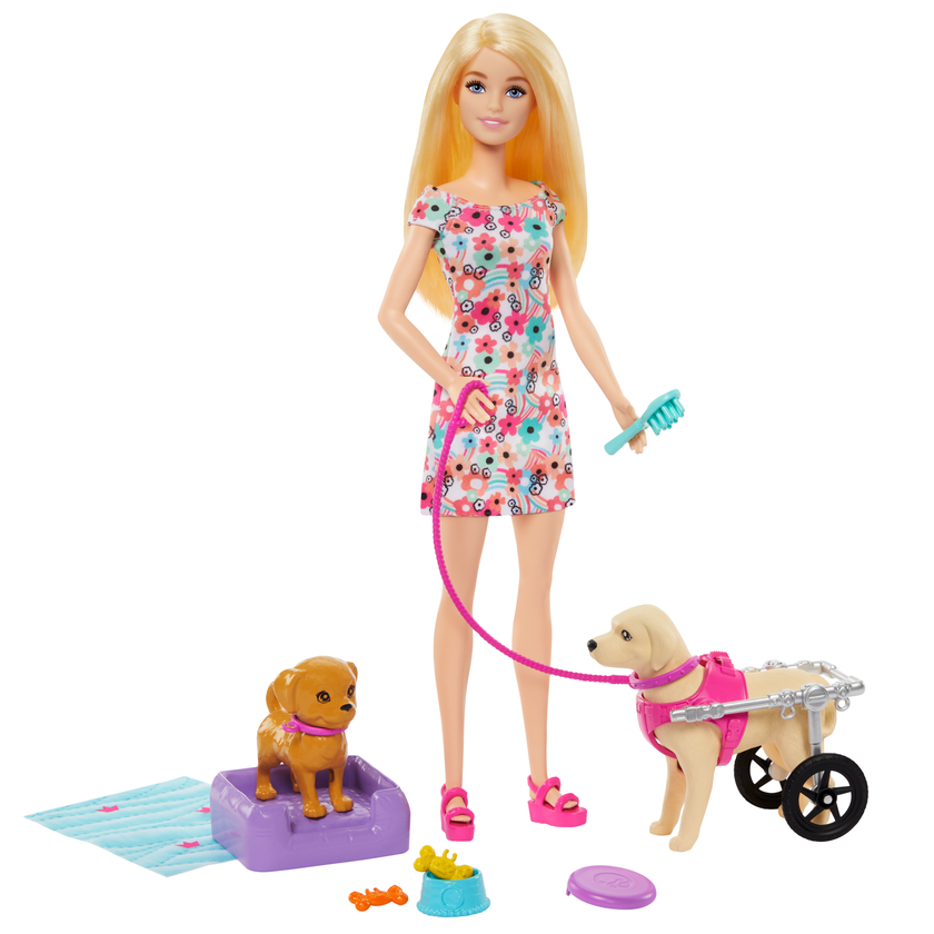 Barbie Doll With A Toy Pup And Dog in A Wheelchair, Plus Pet Accessories High Quality