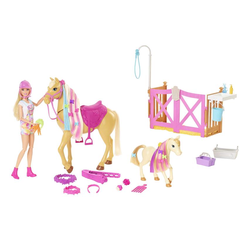 Barbie Groom 'n Care Horses Playset With Barbie Doll (Blonde 11.5-In) Best Seller