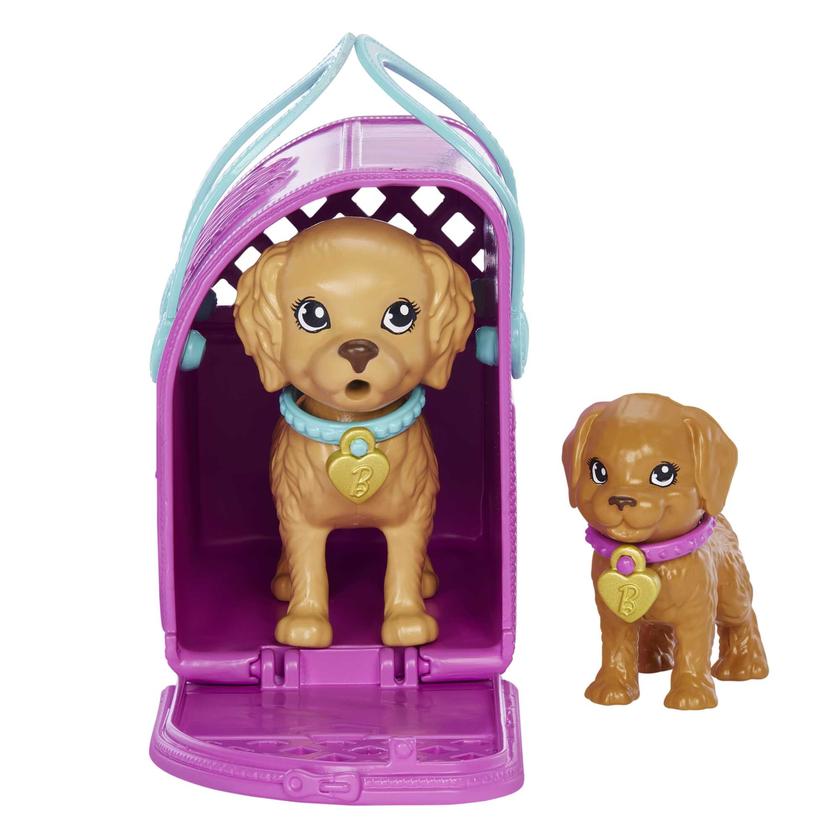 Barbie-Nouvelle Adoption-Coffret Poupée, 2 Chiots, Changement Couleur New Arrival