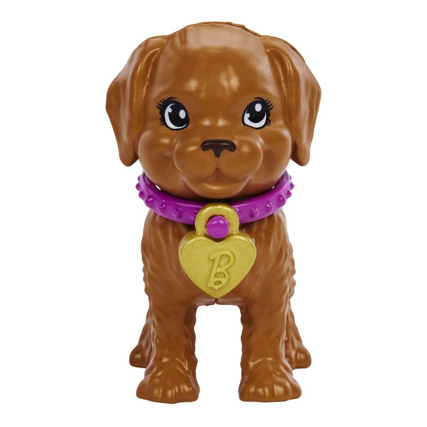 Barbie-Nouvelle Adoption-Coffret Poupée, 2 Chiots, Changement Couleur New Arrival