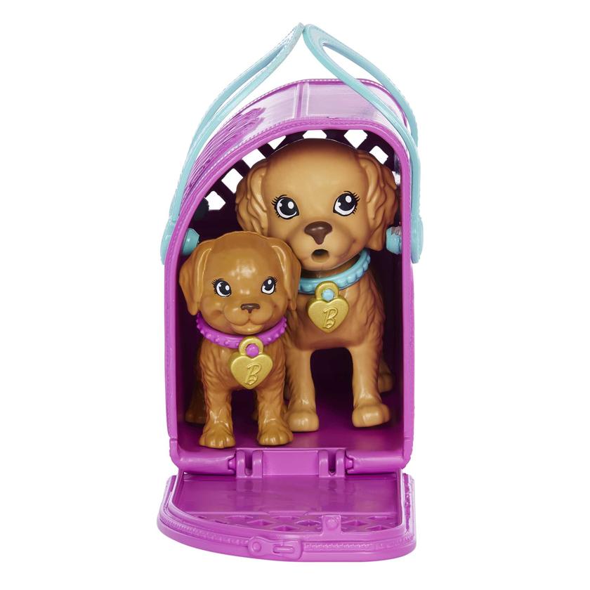 Barbie-Nouvelle Adoption-Coffret Poupée, 2 Chiots, Changement Couleur New Arrival