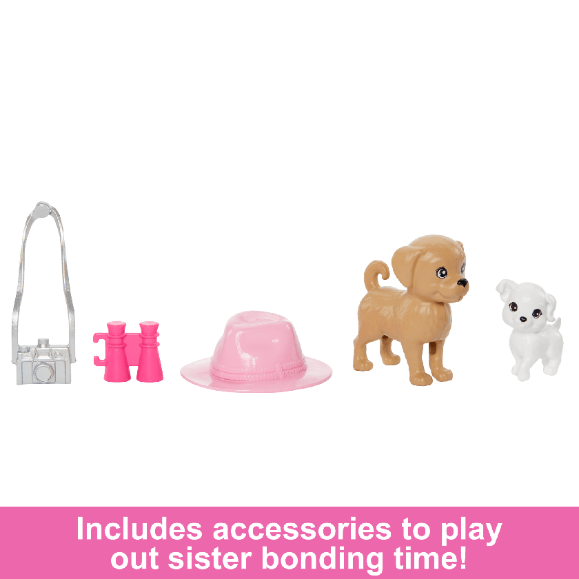 Barbie & Stacie Sister Doll Set With 2 Pet Dogs & Accessories Best Buy