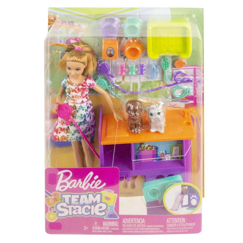 Barbie Team Stacie Doll And Accessories New Arrival